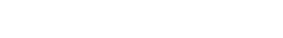 Custom Logo